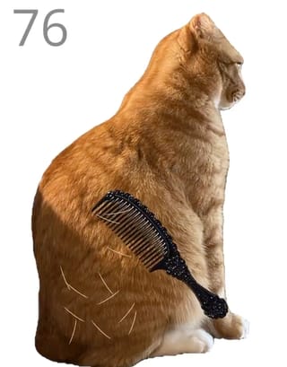 Brush Jjaemu cover