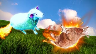 Crazy Cattle 3D cover