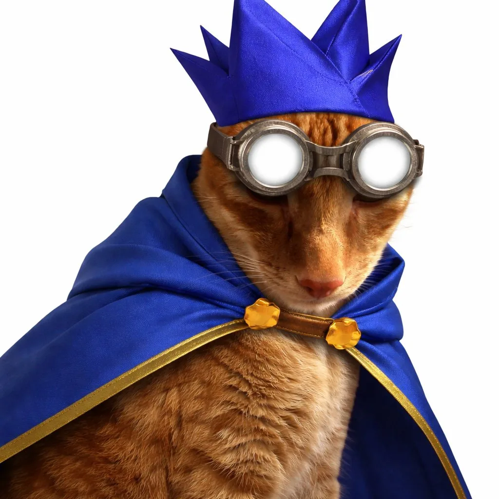 Brush Jjaemu close-up preview image of the cat and brush interaction