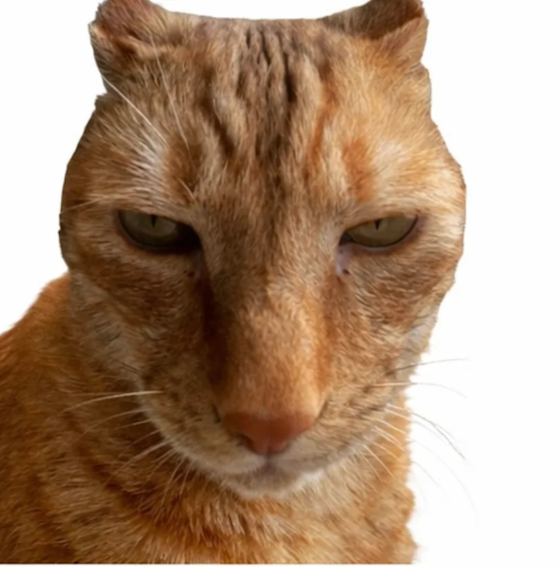 Brush Jjaemu browser game screenshot with the brushing interface visible