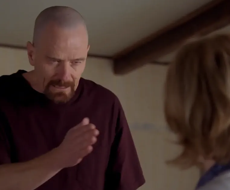 Breaking Bad - I Am The Danger The Choicer Voicer Dub Pack cover